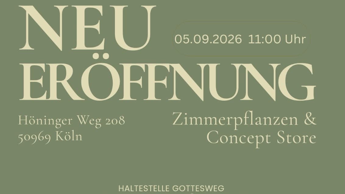 Neueröffnung Veedels Plantie - Zimmerpflanzen & Concept Store 🌿