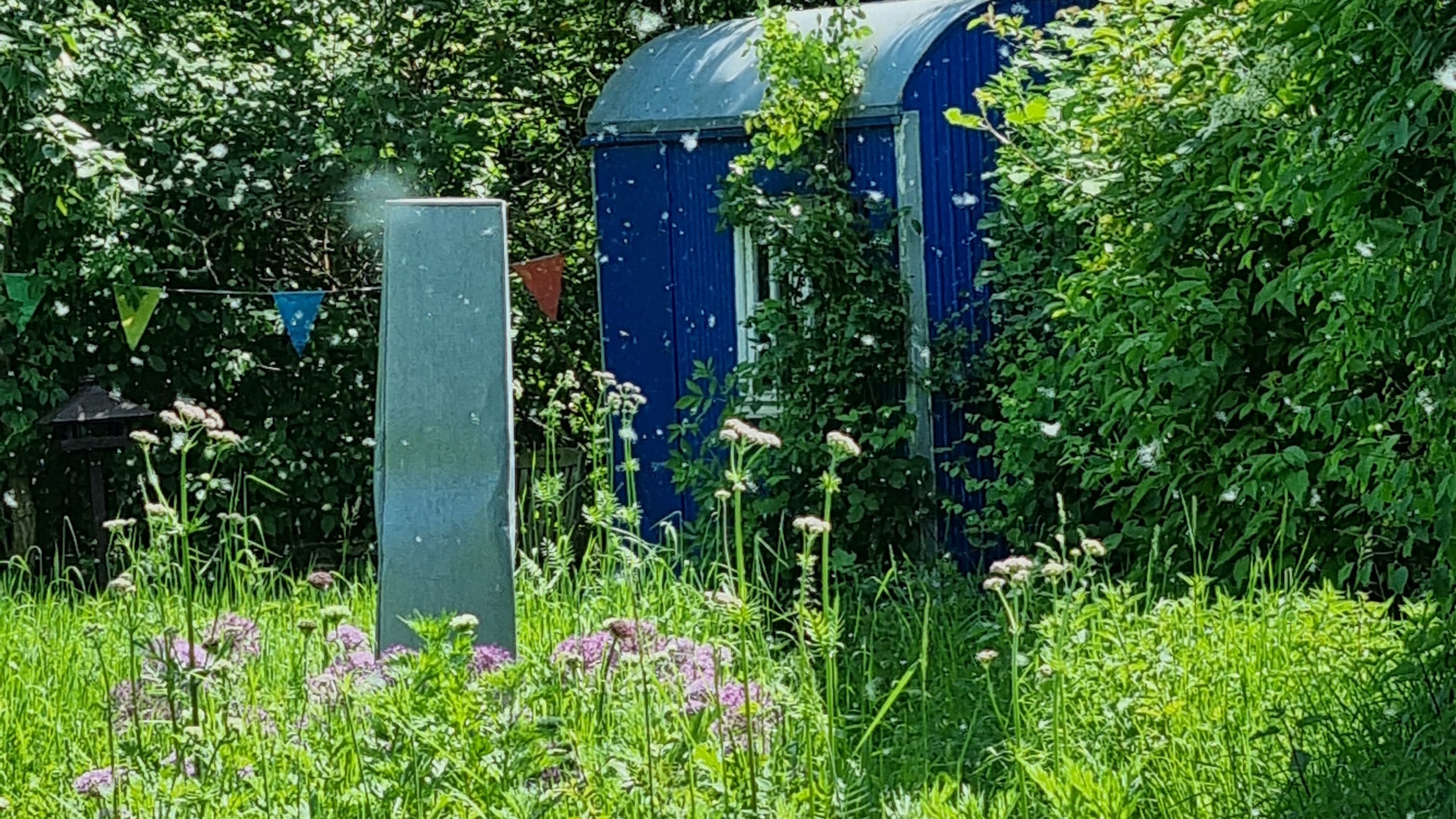 kleiner Wildkräuterspaziergang - Wildkräuterei Köln