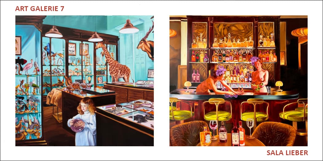 Sala Lieber - Solo Show