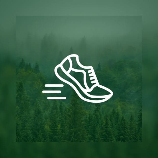 Community Run & Workshop mit Brooks: Bereit für deinen Marathon