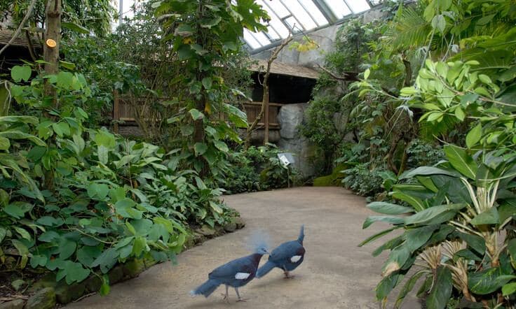 "Das Tropenhaus - ein aktueller Überblick"