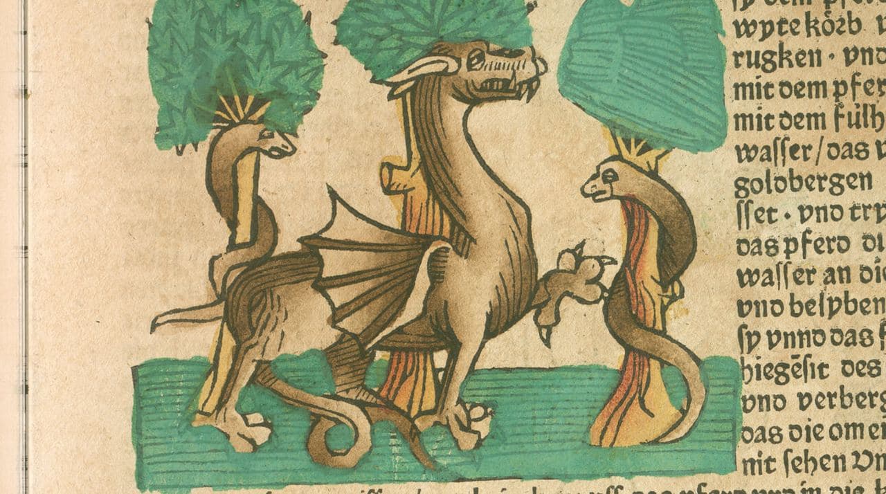 Drachen. Mythos und Wirklichkeit
