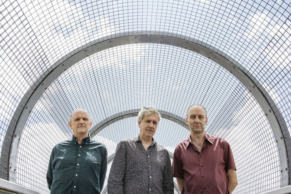 Foggy Notion: The Necks