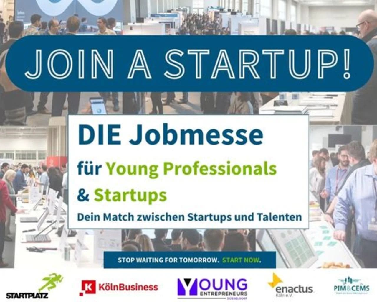 Join a Startup!