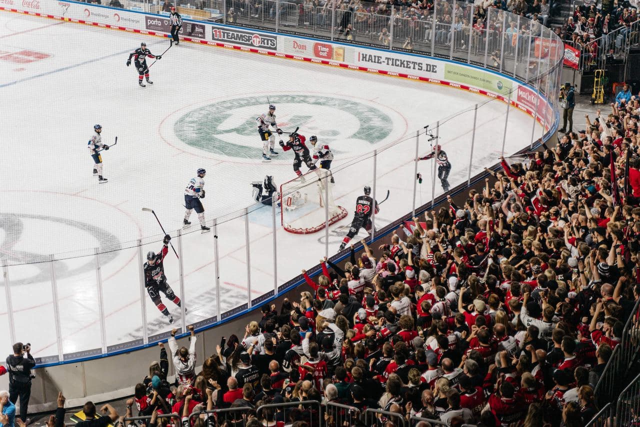 Kölner Haie, Champions Hockey League