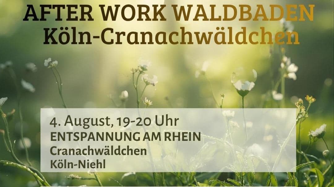 Naturerleben und Qi Gong im Cranachwäldchen