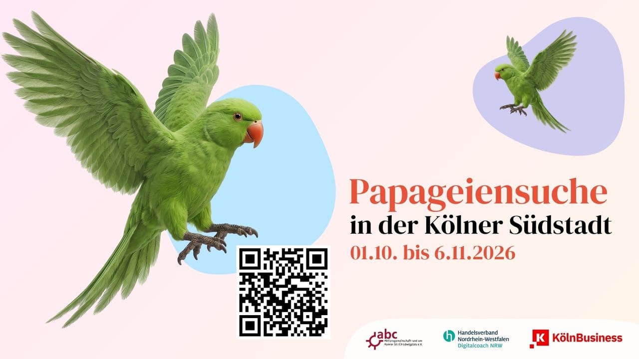 Papageiensuche in der Kölner Südstadt