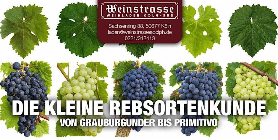Weinverkostung 10.09.2026 "DIE KLEINE REBSORTENKUNDE"